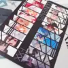 Dino Artbook XXXIX