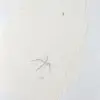 Naruto Animation Drawing Set 9